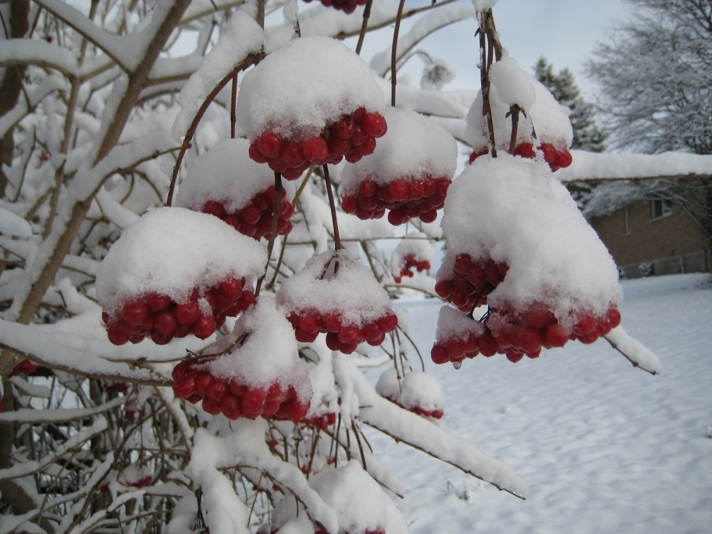 Considering Christmas….don’t hate&nbsp;me