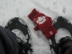 snowshoes