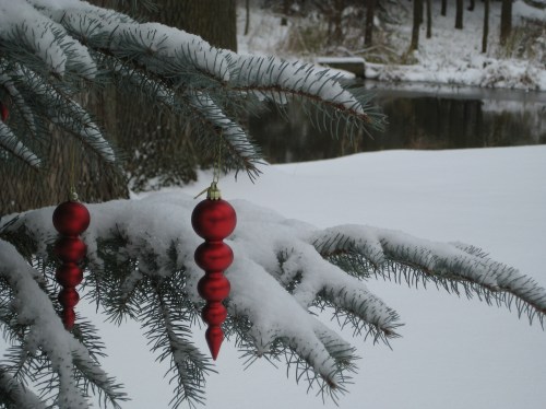 tree3