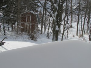 ???????????????????????????????